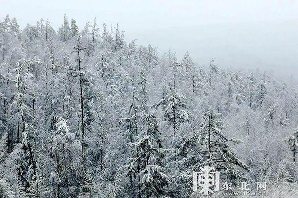 【组图】美呆了！立夏后这里竟然下雪了