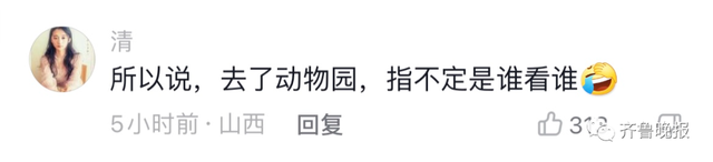 山东一“热心”大象火了！帮小孩捡拖鞋还不忘搓泥，峨眉山的猴：勿cue