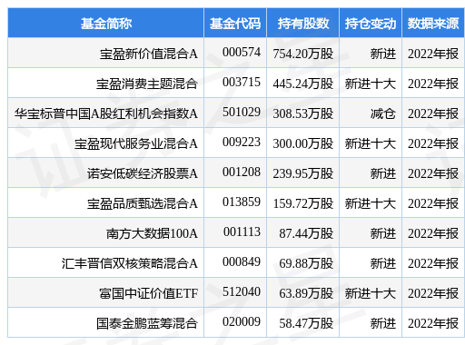 4月12日百隆东方跌8.30%，宝盈新价值混合A基金重仓该股