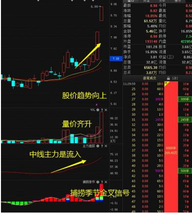 中国股市：科技细分龙头股一览，2020年的新风口，有望成为茅台后下一个10倍大牛的潜力板块