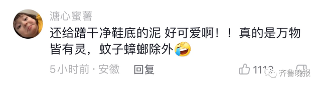 山东一“热心”大象火了！帮小孩捡拖鞋还不忘搓泥，峨眉山的猴：勿cue