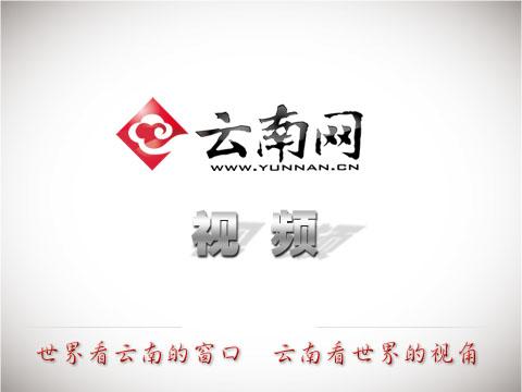 阿里巴巴淘宝大学云南（东盟）数字商业人才孵化基地在中国（云南）自由贸易试验区昆明片区揭牌