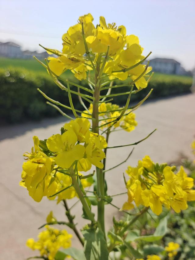 浅谈农村