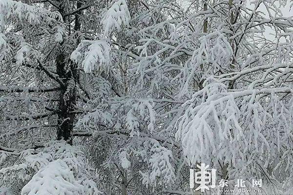 【组图】美呆了！立夏后这里竟然下雪了