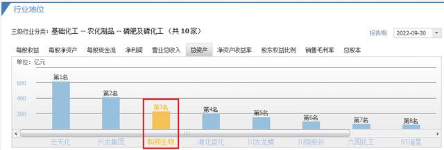 个股分析：和邦生物