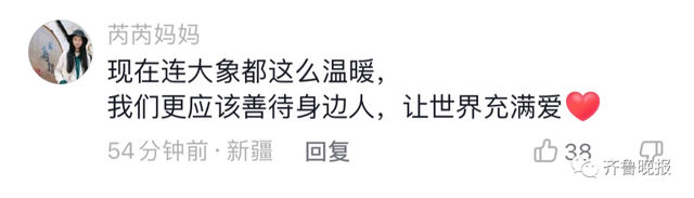 山东一“热心”大象火了！帮小孩捡拖鞋还不忘搓泥，峨眉山的猴：勿cue