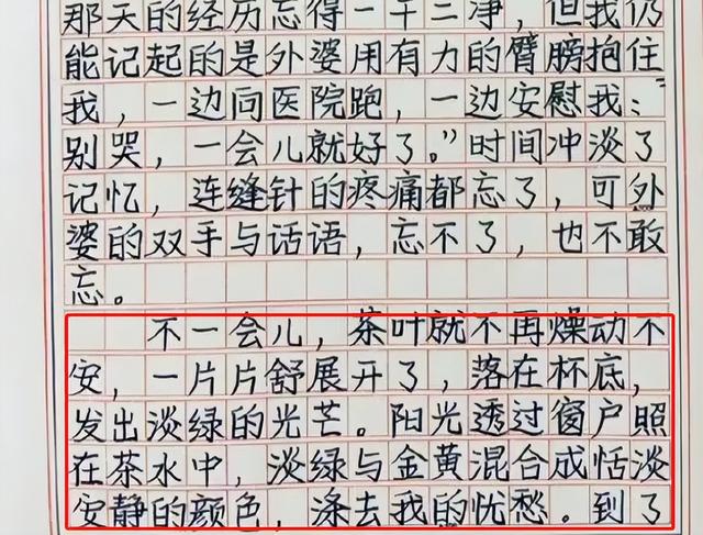 高考满分作文《茶叶与茶水》走红，仅开头一段，就惊艳了众人