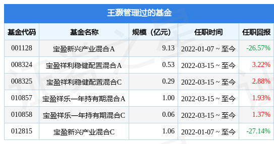 宝盈发展新动能股票A基金经理变动：增聘王灏为基金经理