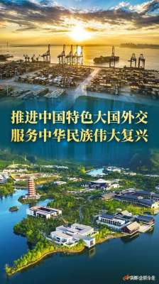 全面服务(推进中国特色大国外交 服务中华民族伟大复兴——新时代中国外交工作述评)