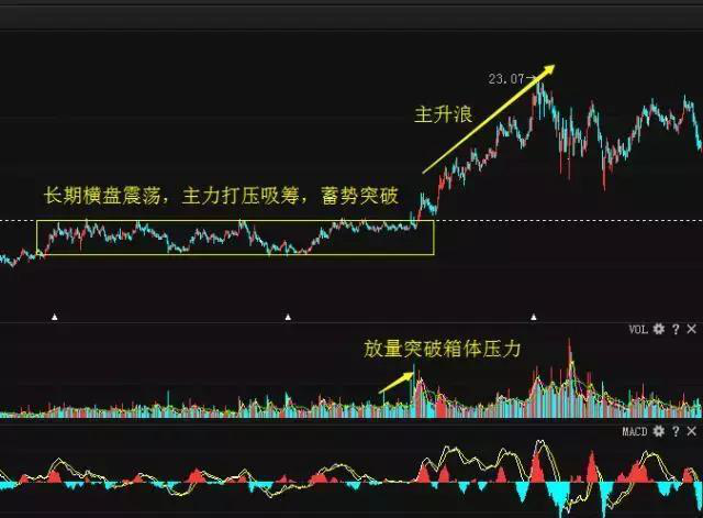 “最牛股神”杨百万，百步穿杨传奇战法，4年8千赚4亿，真是太绝了 !