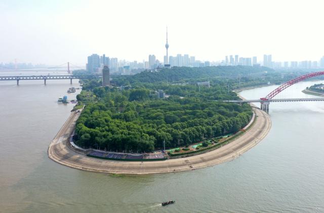 沿江盛开樱花的南岸嘴，想起来就很美