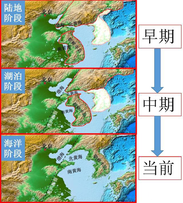 大连蛇岛面积仅1.2平方公里，却藏着2万条毒蛇，蛇哪来的？