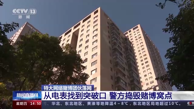 抓住侥幸心理 引诱年轻人参赌的特大网络赌博团伙落网