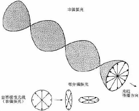 今晚摄影小教室｜关于偏振镜的使用