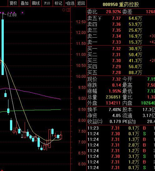 北汽蓝谷交易3分钟暴跌24%！股东也跌停了