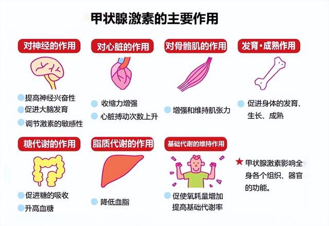 《疏调养生谈》关注甲状腺，关爱“生命腺”