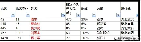 湖北黄石“首富”是何方人士？