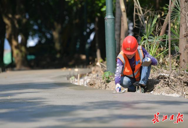 沿江盛开樱花的南岸嘴，想起来就很美