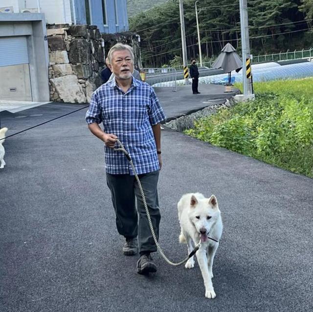 常洛闻：金正恩送的狗，也卷入了韩国的政治漩涡？