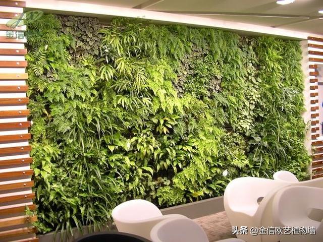 植物墙带动了哪些行业的发展？植物墙的前景未来在哪里？