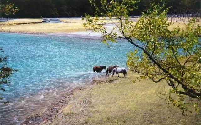 贡嘎山风景区田湾河，至今尚保持原始沐浴风格