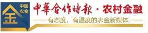 晋江农商银行(读报丨《中华合作时报·农村金融》2023年第13期精彩内容速览（4月14日出版）)