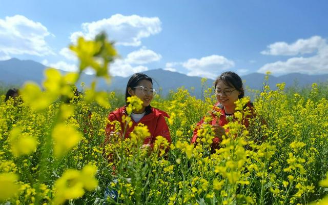 在有风的地方，和院士一起种地的学生们正在改变洱海