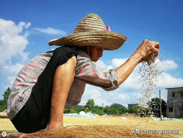 天气预报：明天14号大范围雨雪降温确认，60年一遇冷冬？农谚咋说