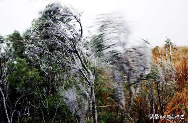 西安雨已到！大雨、暴雨，陕西发布紧急预警！注意……