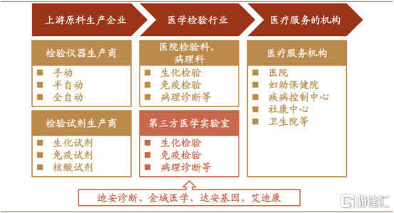 金域医学股价闪崩，发生了什么？