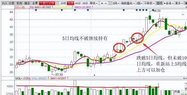 如果散户长期捂股不斩仓，庄家会怎么办？原来炒股赚钱无需太勤劳