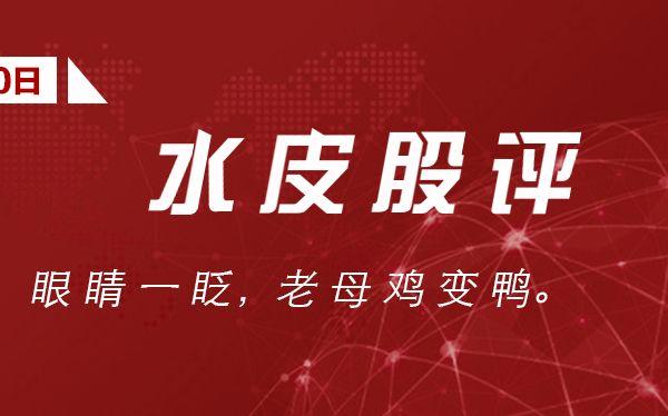 水皮：「谈股论金」眼睛一眨，老母鸡变鸭，计划跟不上变化