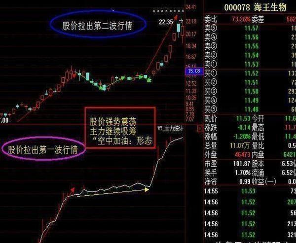 股票投资技术分析：跟庄技巧实战图解