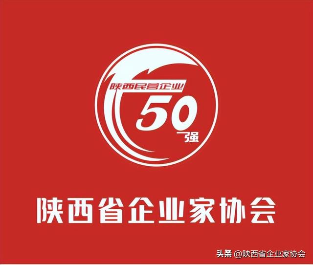 2022陕西民营50强企业排序——比亚迪汽车有限公司简介