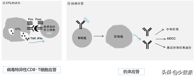 2023 年，聊聊新冠疫苗有关的「新问题」