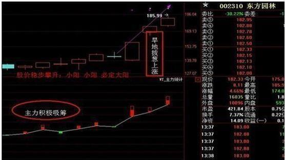 股票投资技术分析：跟庄技巧实战图解