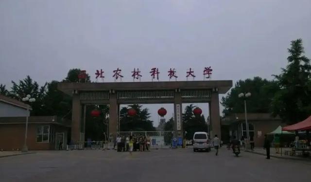 西北农林大学为啥被称作985守门员？实在是太难了