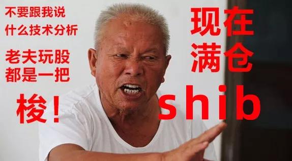 shib也能炒，30天暴涨百倍？我真的服了币圈了