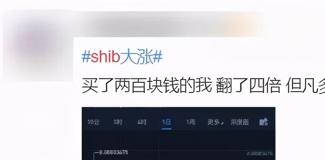 shib也能炒，30天暴涨百倍？我真的服了币圈了