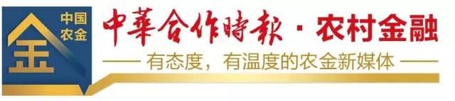 独家丨把“金融村官”派驻到100个特色产业村！看这家农商行如何打造“有温度的百姓银行”