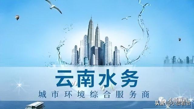 “云南水务”7.67亿债务逾期，所持上市公司股份全部被冻结