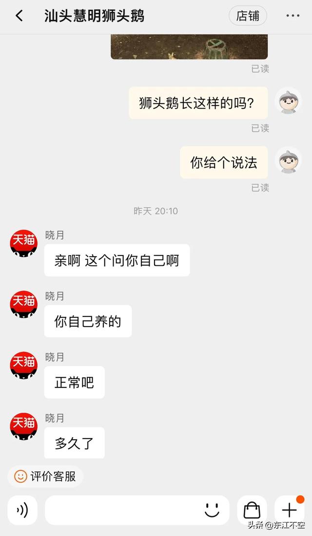 某宝网购买到假的狮头鹅，商家想用20块钱打发我