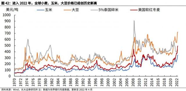 关注全球粮食危机！龙头股5月涨近100%，机会在何处？券商点明这些方向（附概念股）