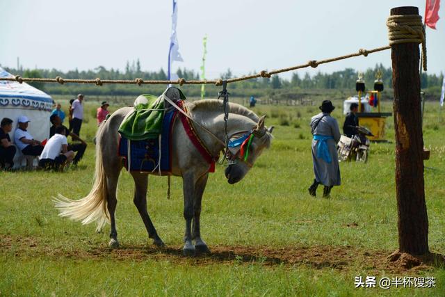 「说谍」英年早逝的红色特工，他的情报生涯远比《潜伏》惊心动魄