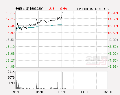 快讯：新疆火炬涨停 报于18.16元