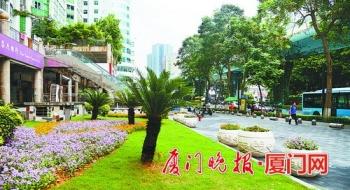 厦门厦禾路景观提升全部完成 多举措打造高颜值景观大道