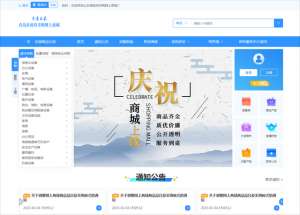 网上商城采购(青岛市政府采购网上商城即将启用，欢迎供应商进驻)
