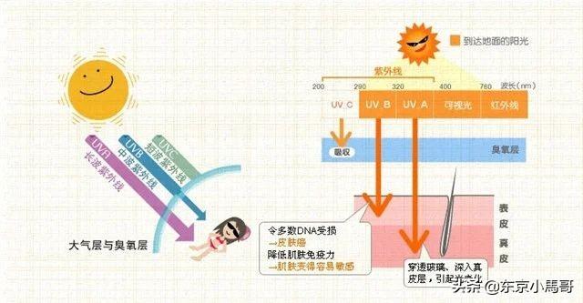 “早C晚A”是什么？只有正确使用才能与你的皮肤契合！