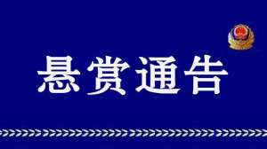 鲁商通(扩散警方悬赏3万缉拿跑路董事长山东鲁商金融涉嫌非法集资……)