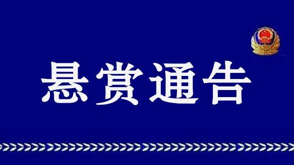 扩散！警方悬赏3万缉拿跑路董事长！山东鲁商金融涉嫌非法集资……